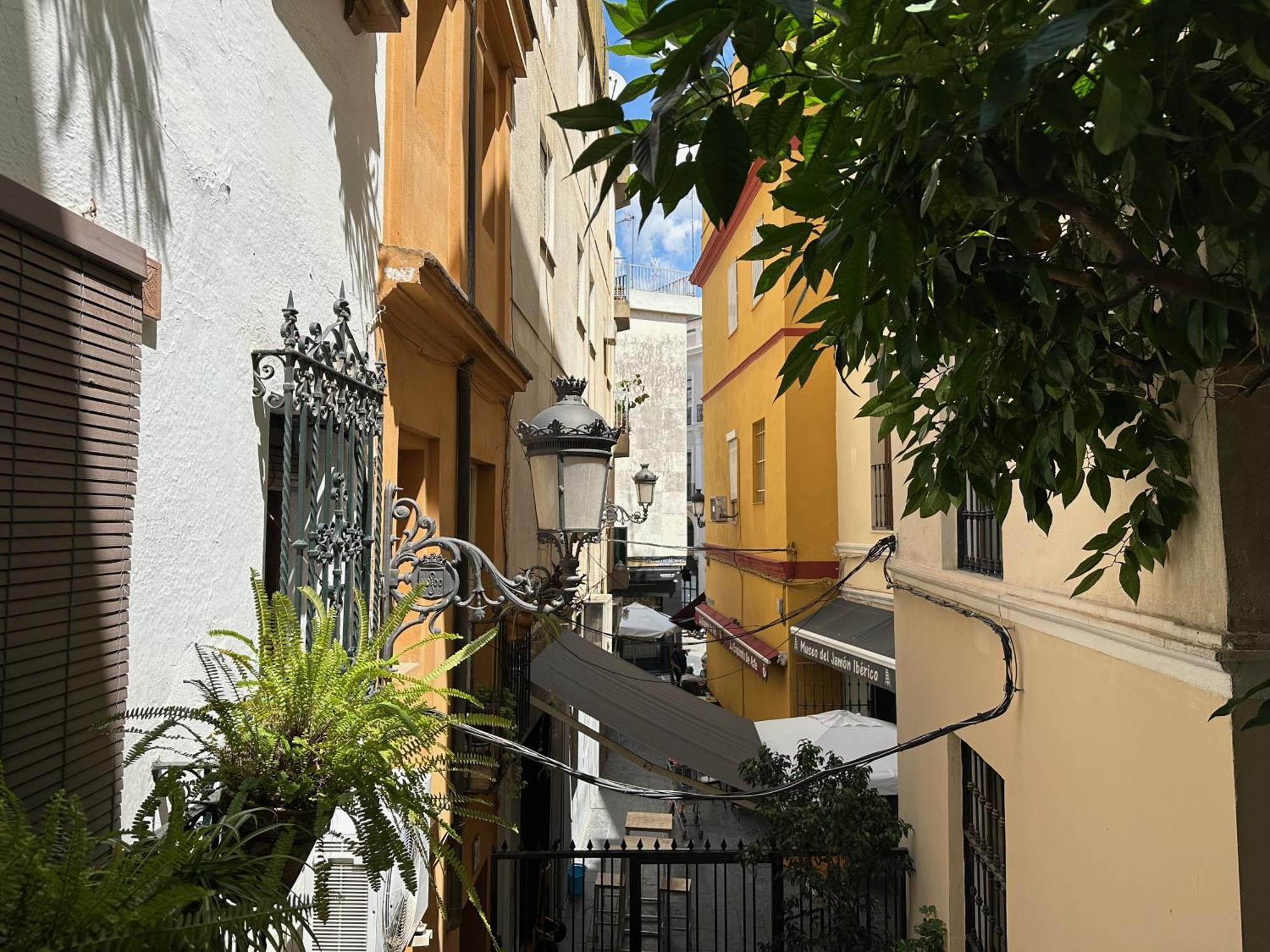 Appartement Blue House Arenal